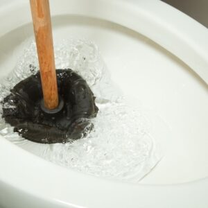 plunger in toilet